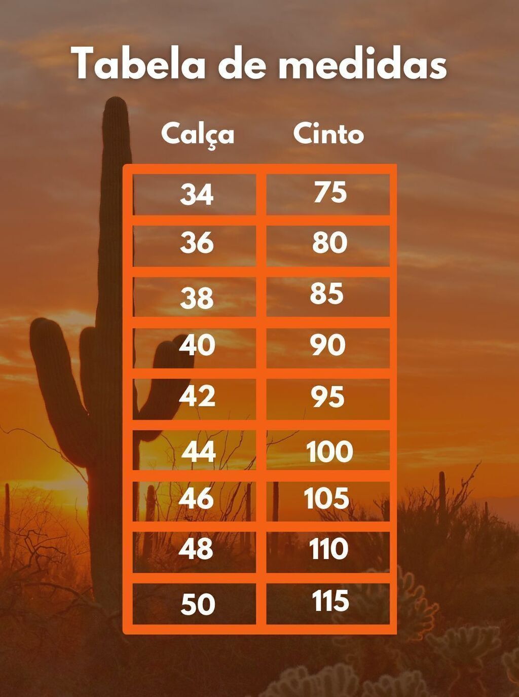 Cinto Country Newest - Imagem 3