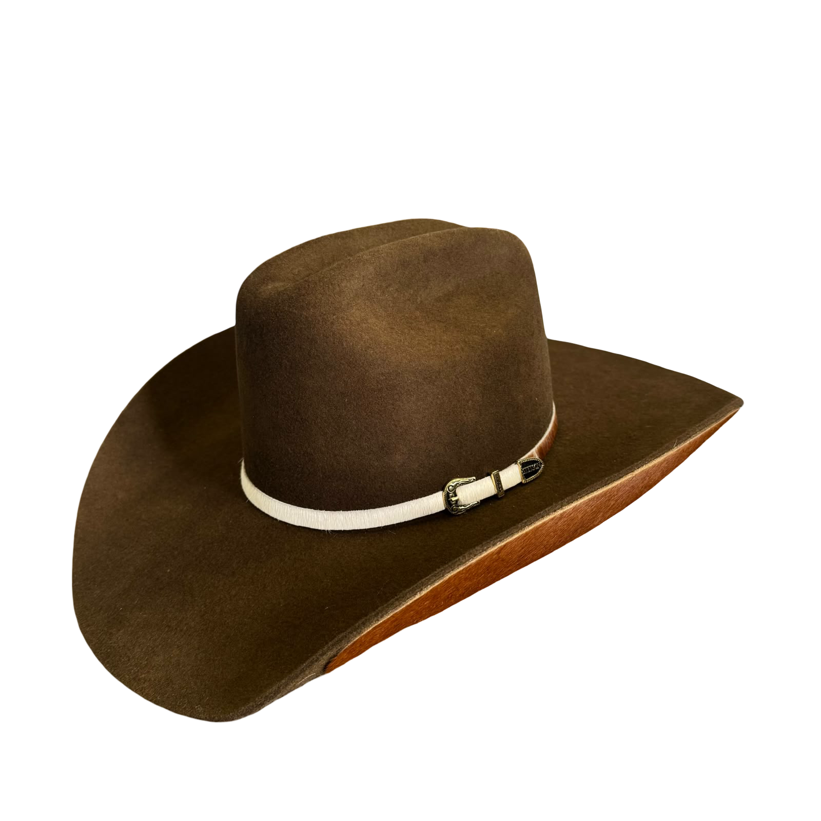 Chapéu Stetson
